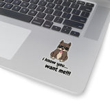 I Know You Want Me (Sticker)