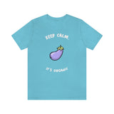 Keep Calm It's Organic T-Shirt, Vegan T-Shirt, Fun T-Shirt, Innuendo T-Shirt (Bella+Canvas 3001)